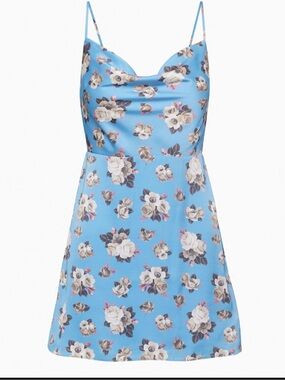 Aritzia Blue Floral Mini Dress